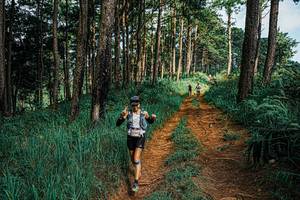 BIB: 
                            <button type="button" onclick="openModal(25653801)" class="btn btn-primary btn-sm float-right btn-popup" data-toggle="modal" data-target=".modal-high-quality">
                        <i class="fas fa-shopping-cart"></i> Add to Cart
                    </button>
                                            <button type="button" onclick="isThisMe(25653801, true)" class="btn btn-success btn-sm float-right btn-popup btn-isme hidden" data-toggle="tooltip" data-placement="bottom" title="นี่คือรูปของคุณใช่ไหม คลิกที่นี่เพื่อเอาเข้าอัลบั้ม">
                        <i class="fas fa-plus"></i> Add to album
                    </button>
                    <button type="button" onclick="isThisMe(25653801, false)" class="btn btn-warning btn-sm float-right btn-popup btn-isnotme hidden">
                        <i class="fas fa-ban"></i> Remove from album
                    </button>